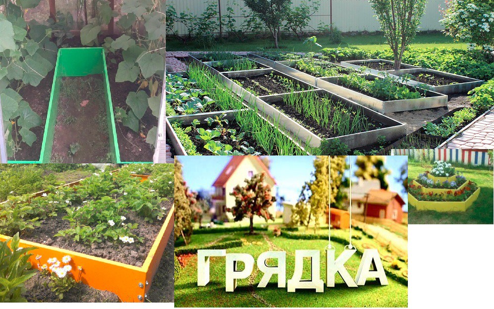 Грядки.jpg