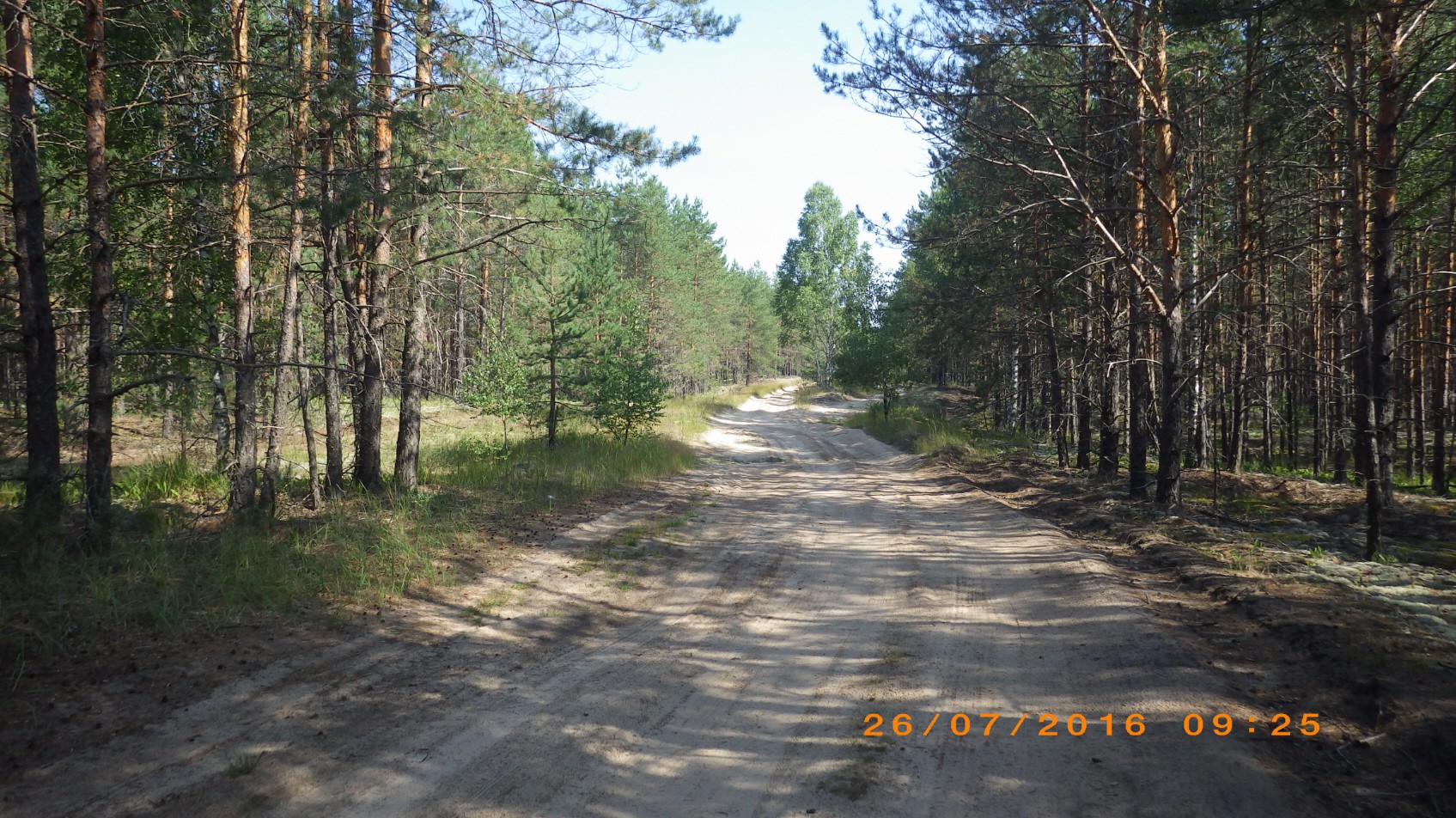 216.JPG