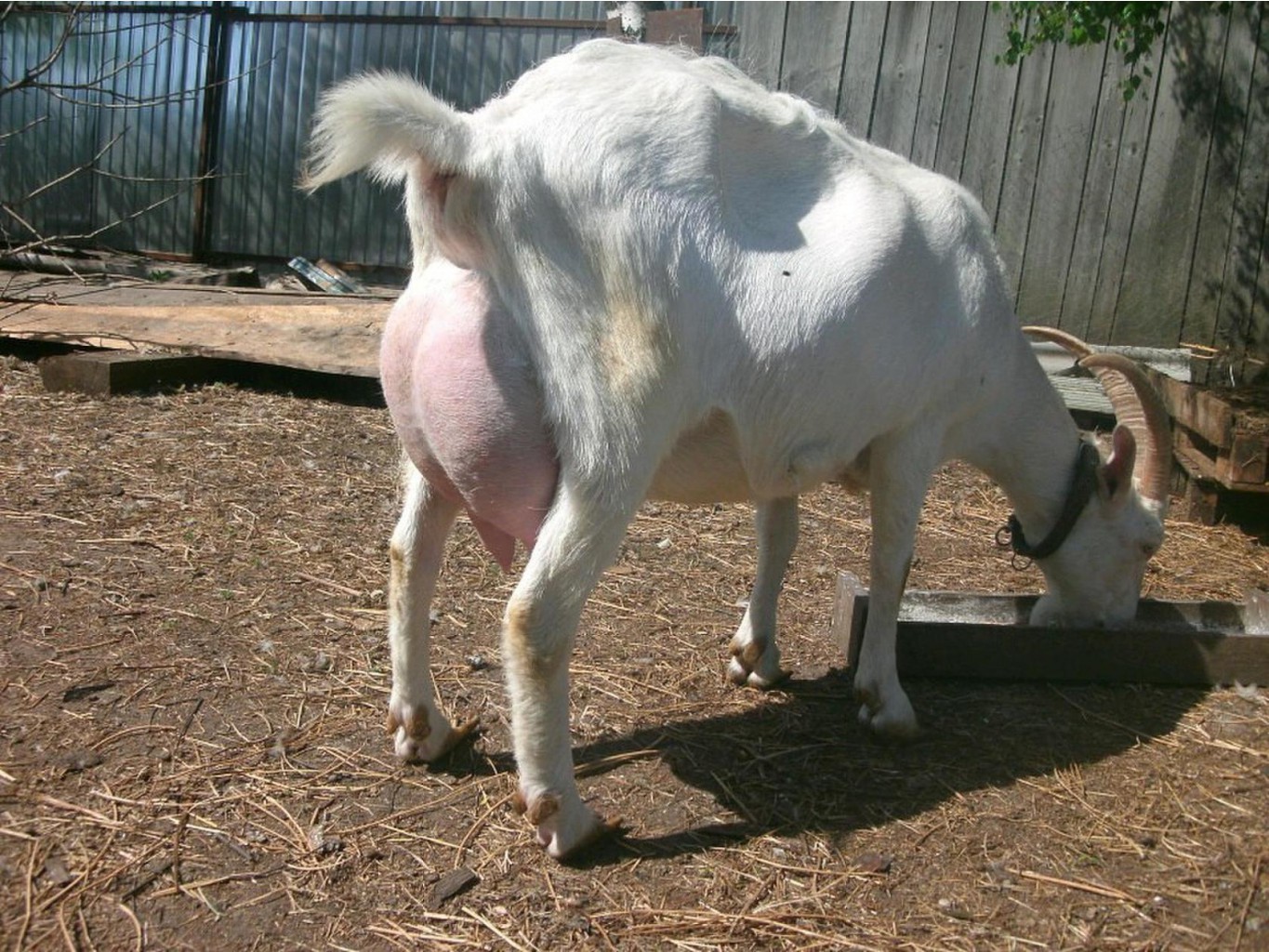  2  (  )