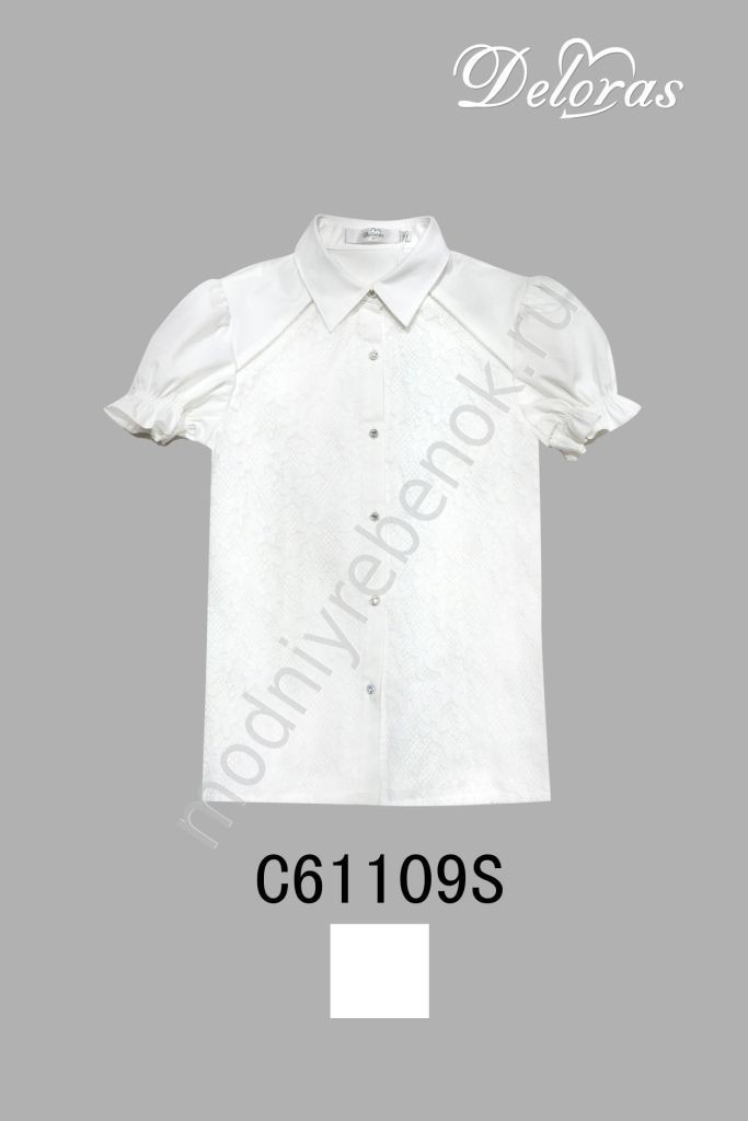 . C61109S.jpg