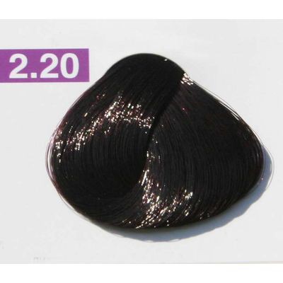 2.20 - Nouvelle, VIOLETS	-153 