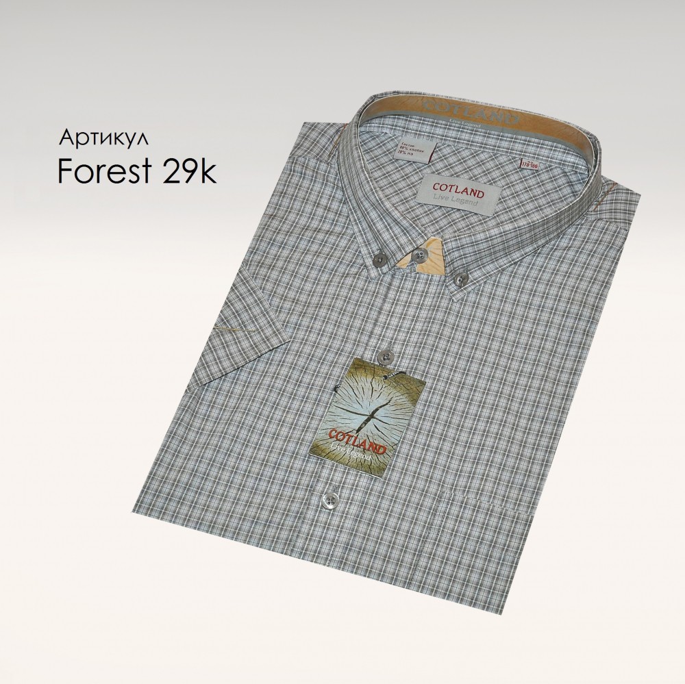 APT.Forest 29k.jpg