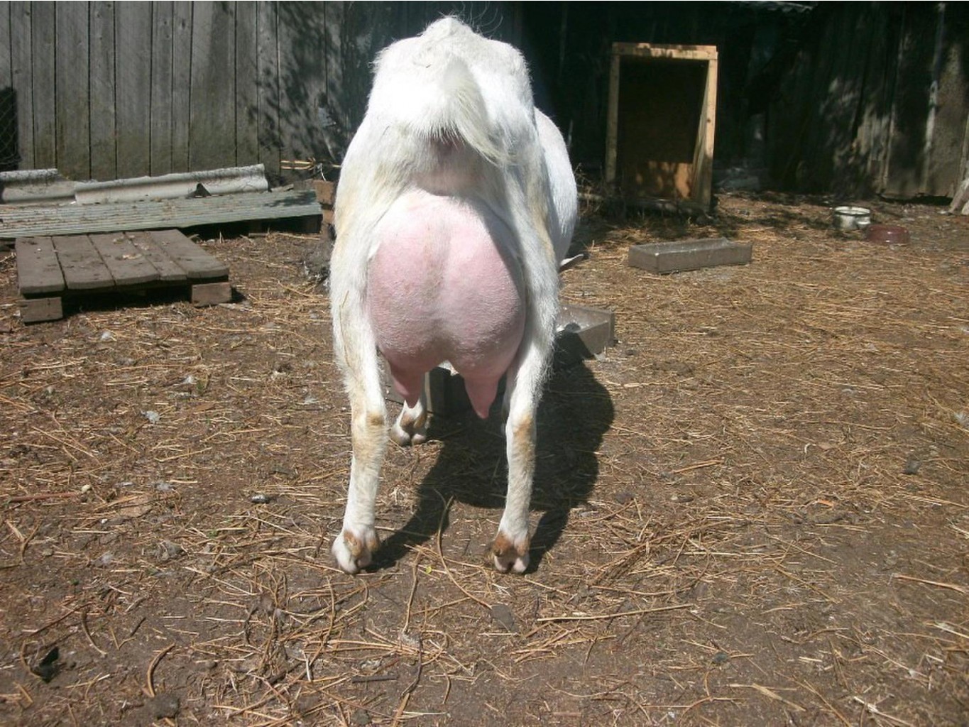  2 