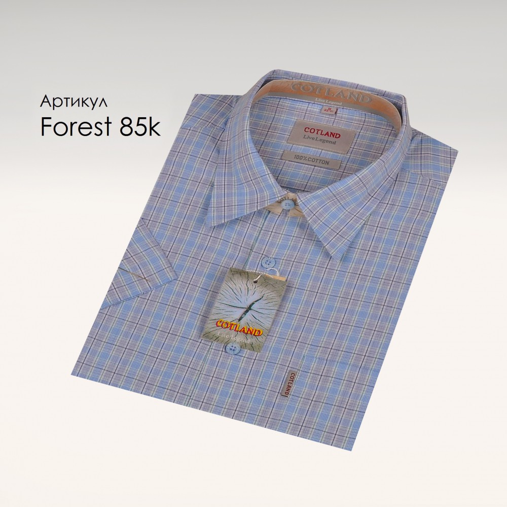 Forest 85k.jpg