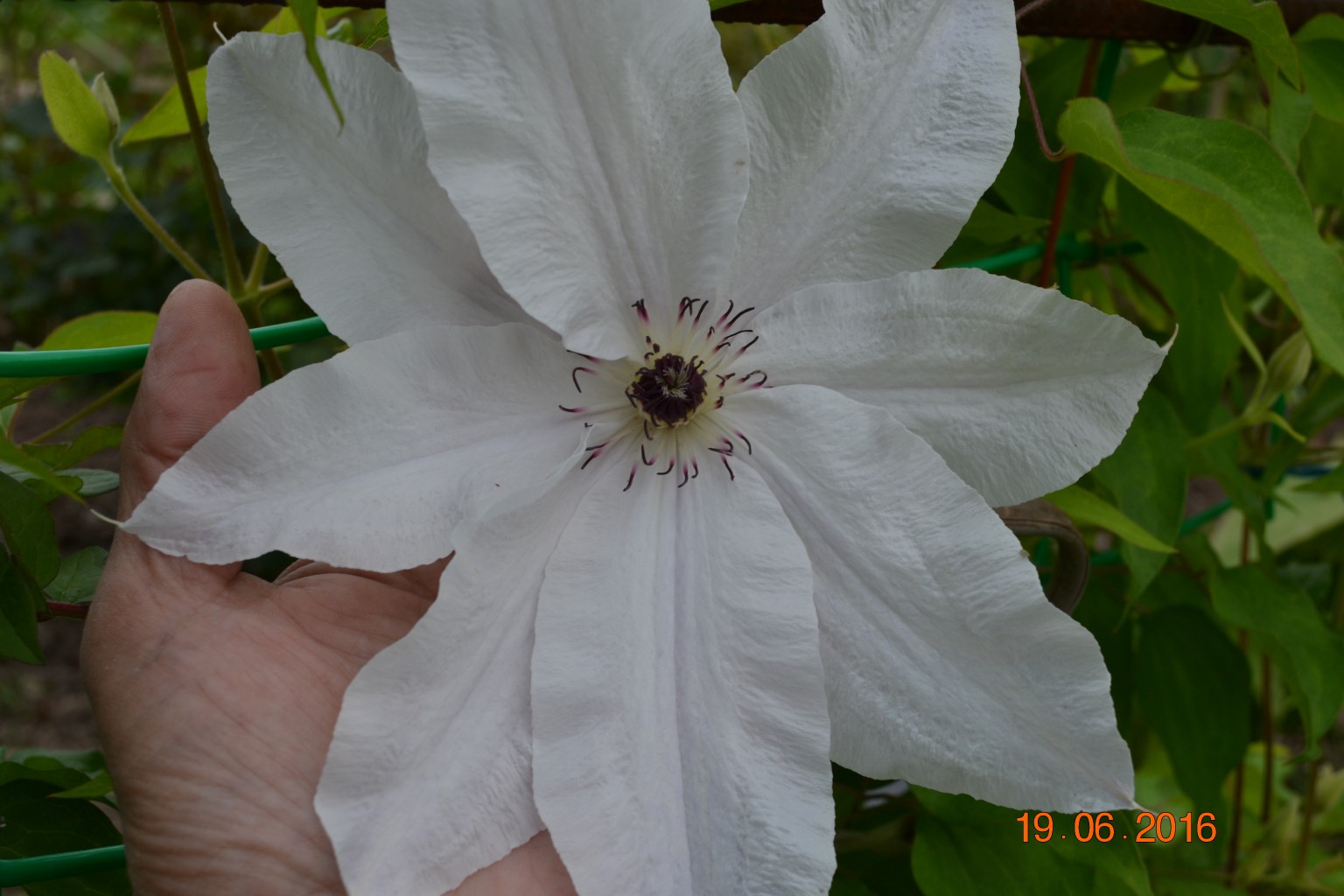 DSC 0032.JPG
