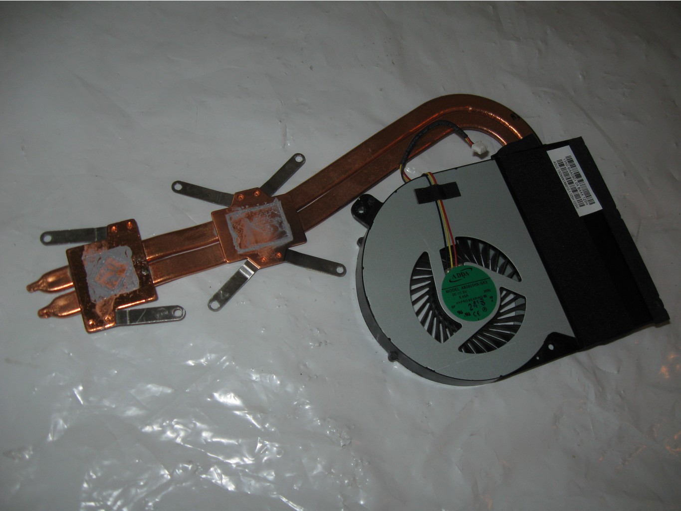 IMG 4962.JPG