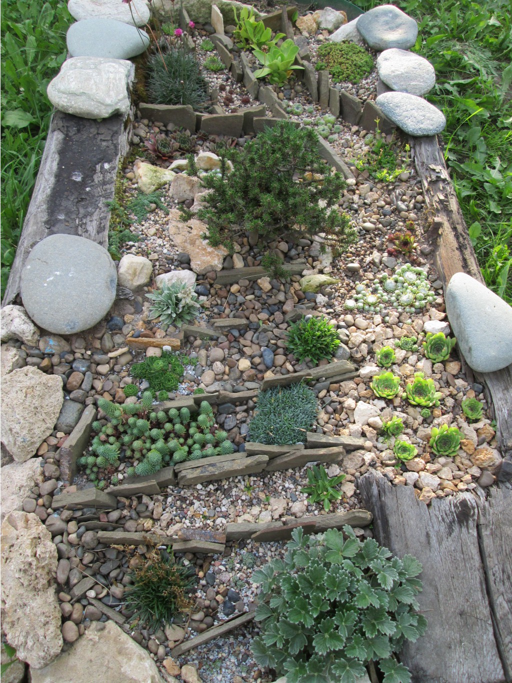 IMG 4481.JPG