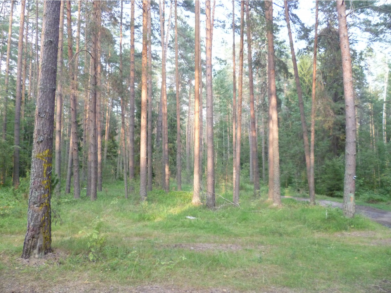 P1060079.JPG