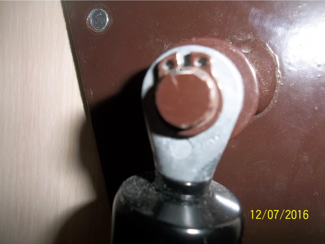 100 4954.JPG