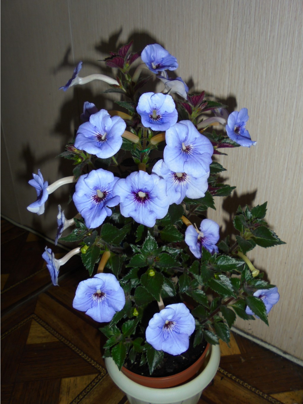 DSC04017.JPG