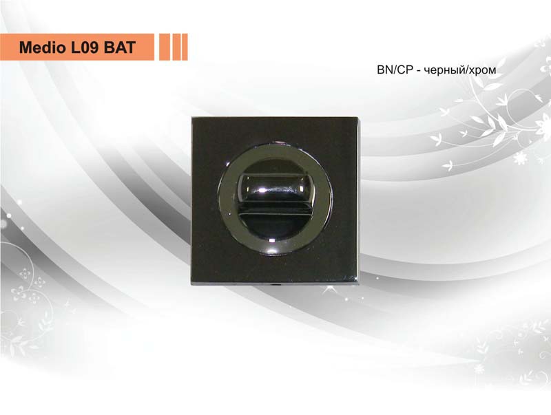   L09 BAT BN-CP.jpg