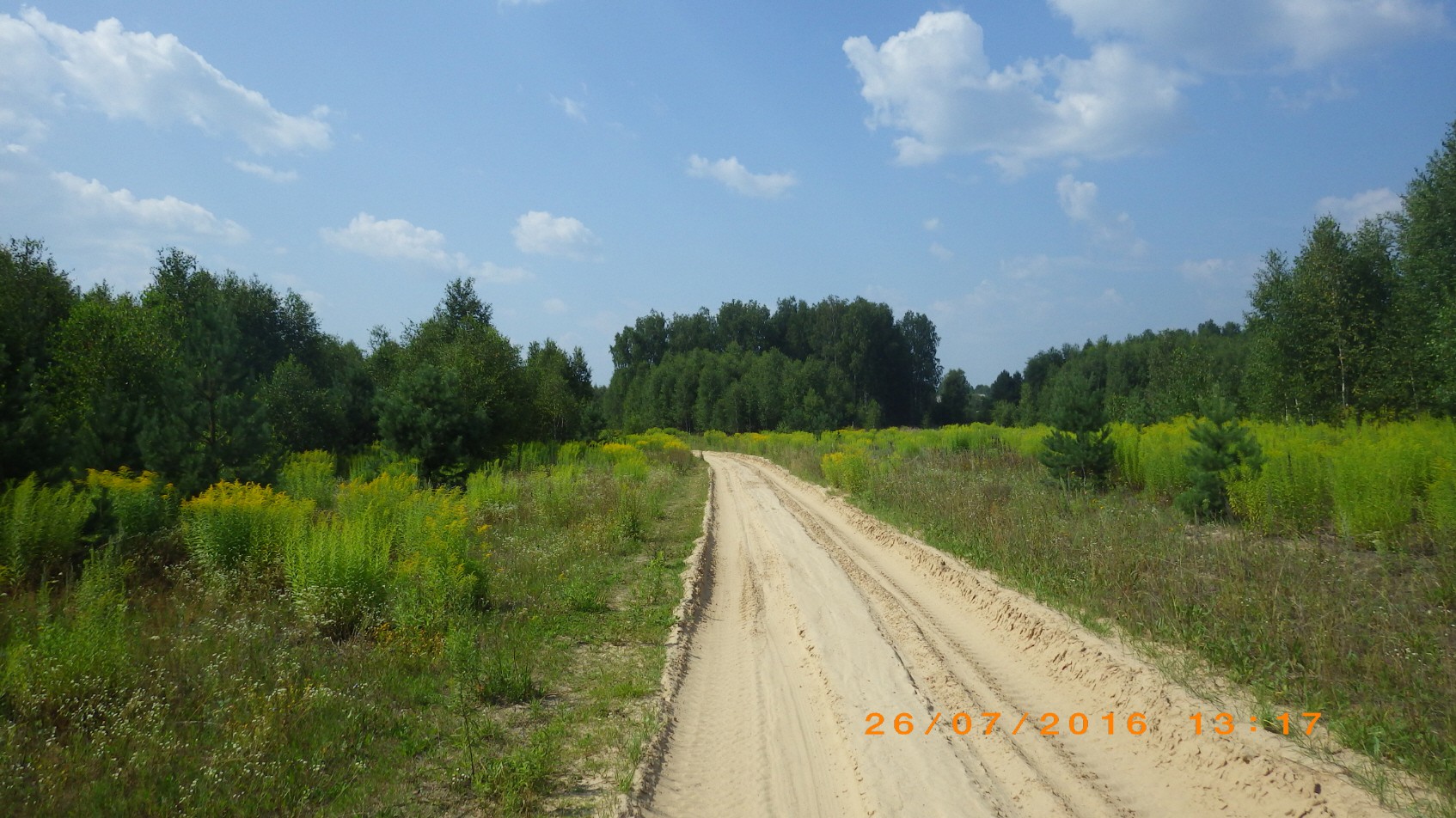 253.JPG