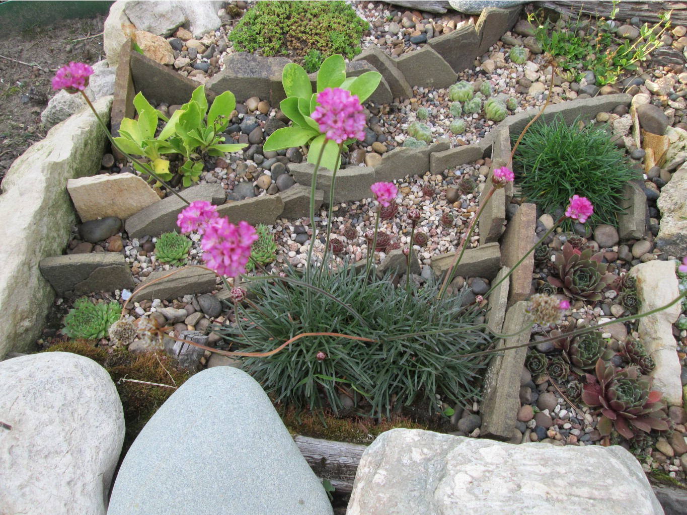 IMG 4482.JPG
