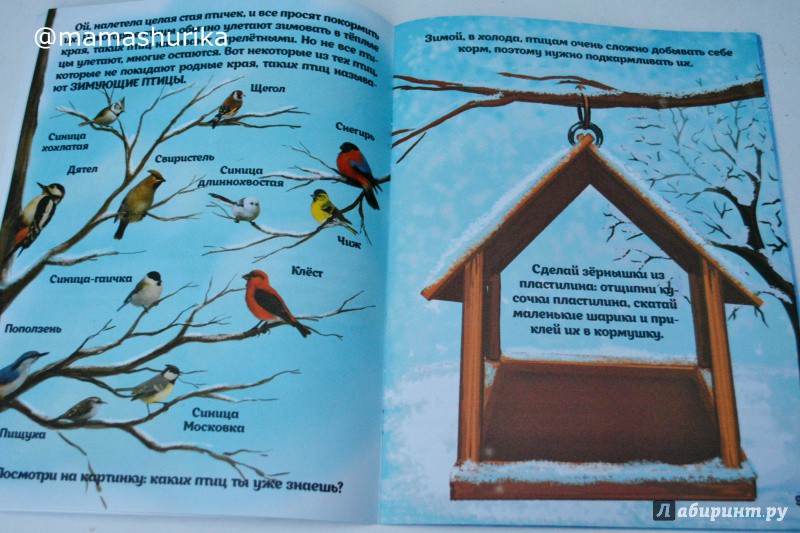 978-5-222-25705-0    -   dop.jpg