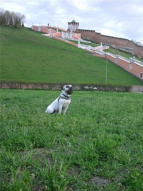 IMG 20160811 174551 96.jpg