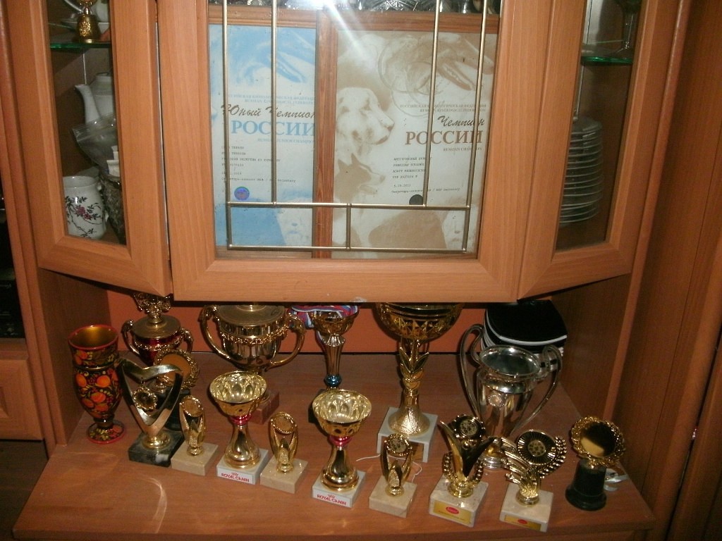 IMG 20160811 174237 3.jpg