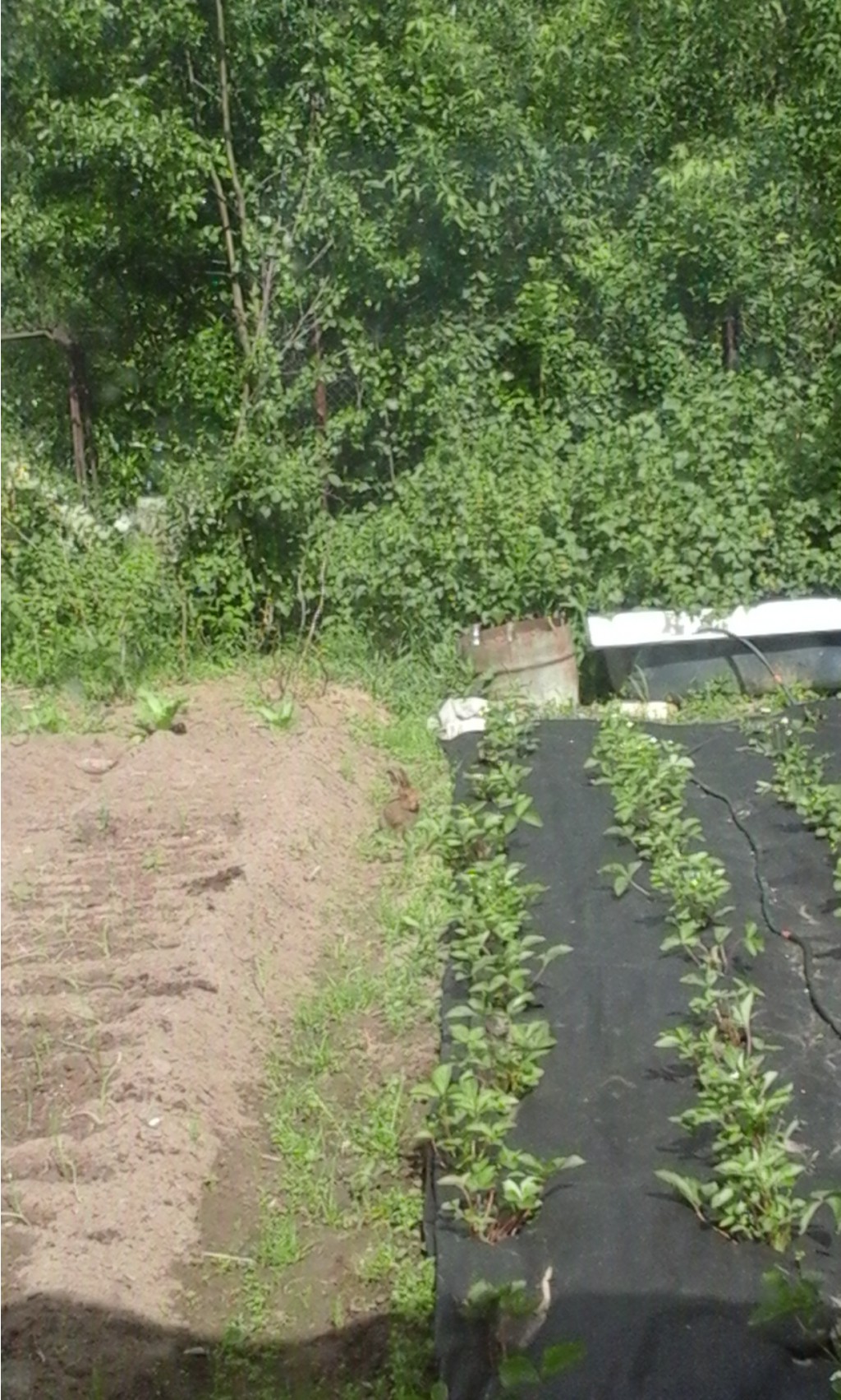 20160605 091717.jpg