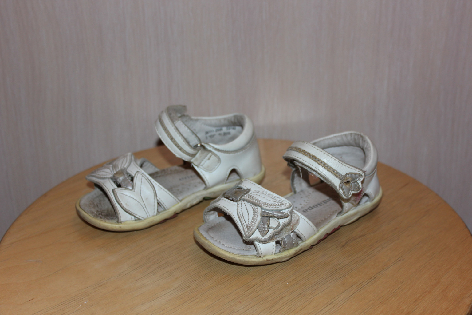 IMG 4276.jpg