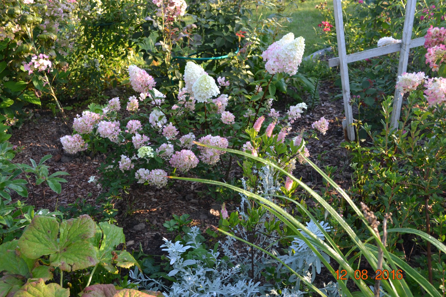 DSC 0636.JPG