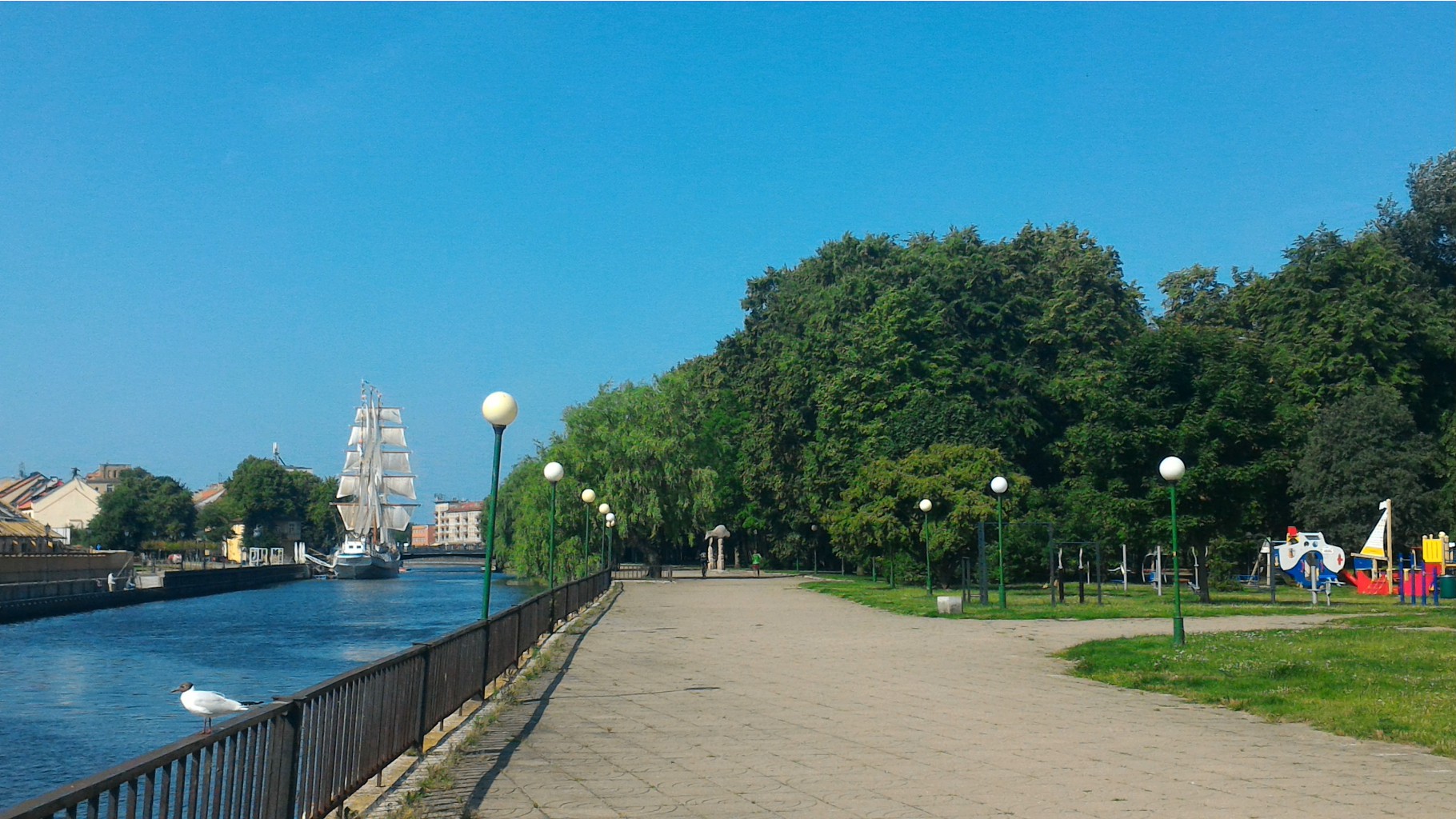 P 20160626 102236.jpg