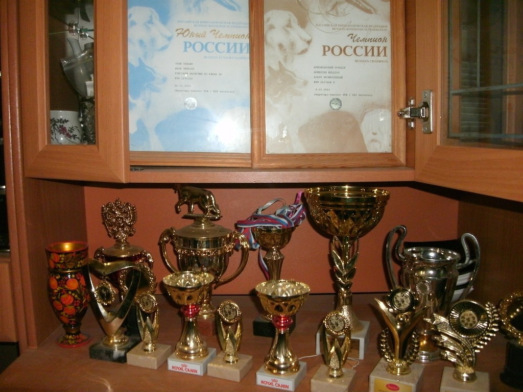 IMG 20160811 174240 44.jpg