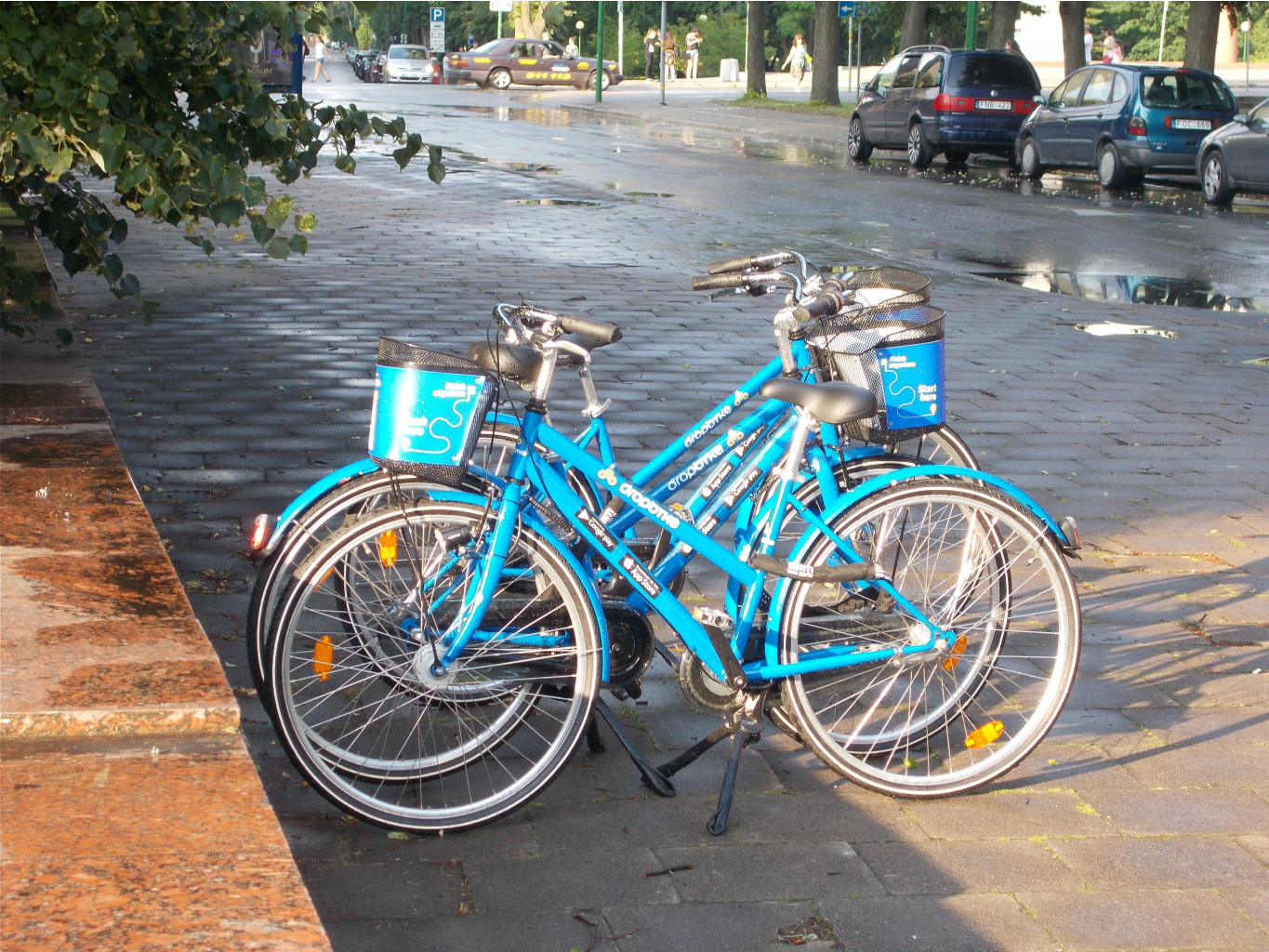 DSCN3719.JPG