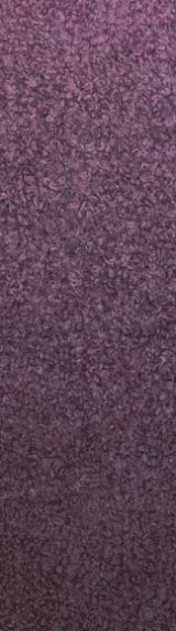 1019.jpg