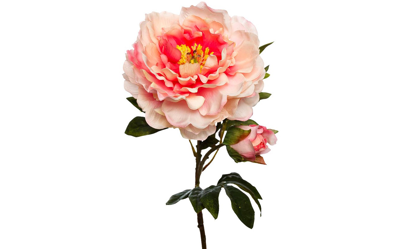  - 9F28071H-4820  320