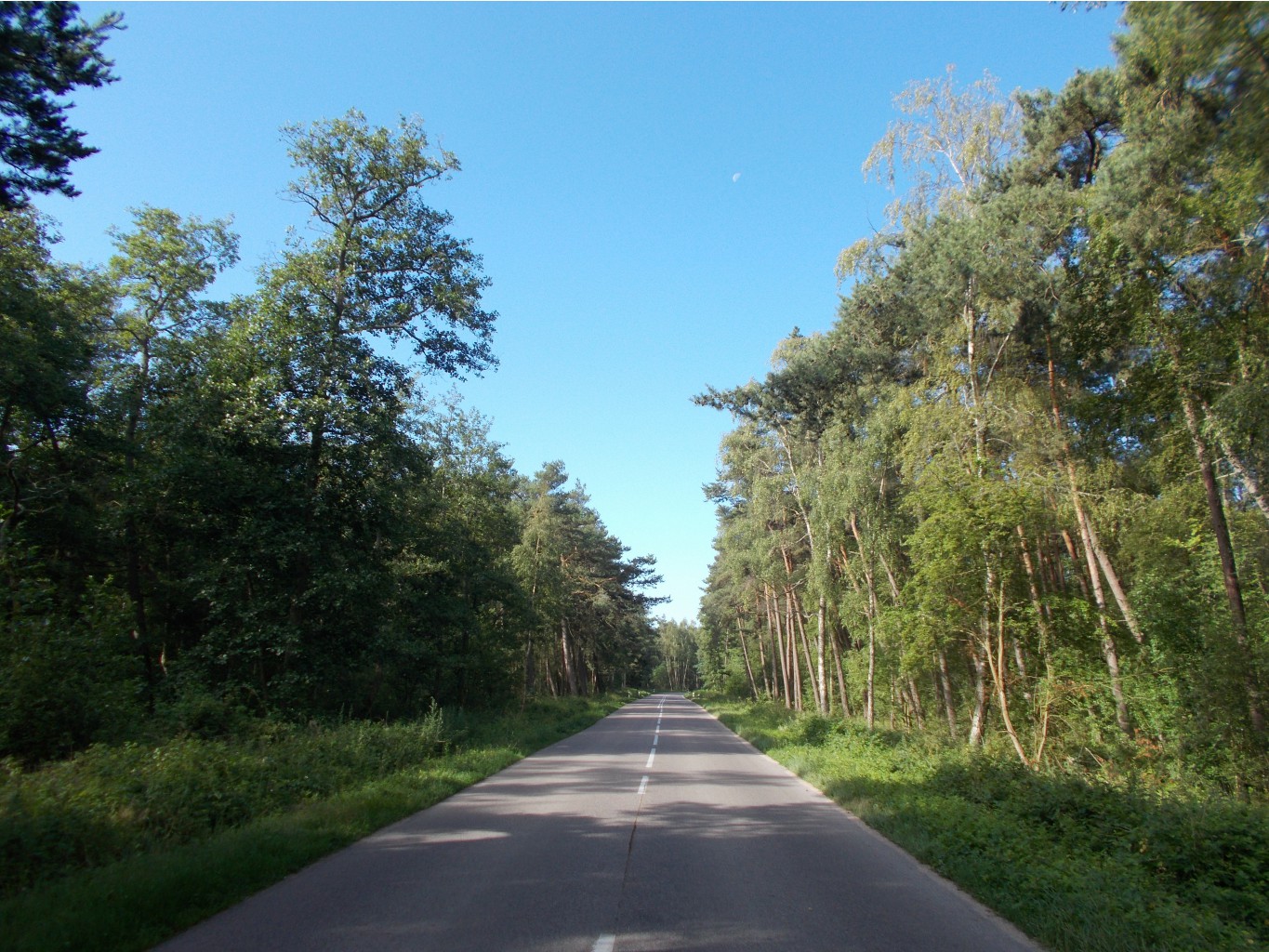 DSCN3854.JPG