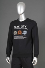   PE*AK F65**1741.png