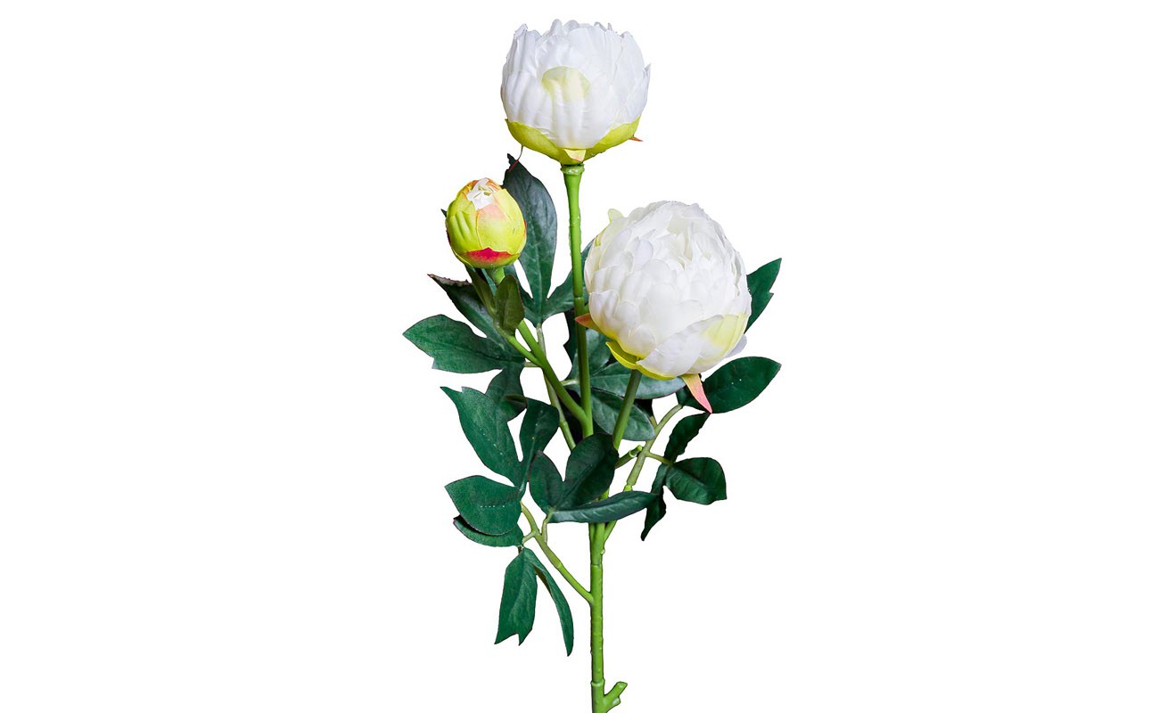   8J-15GS0010  170.jpg