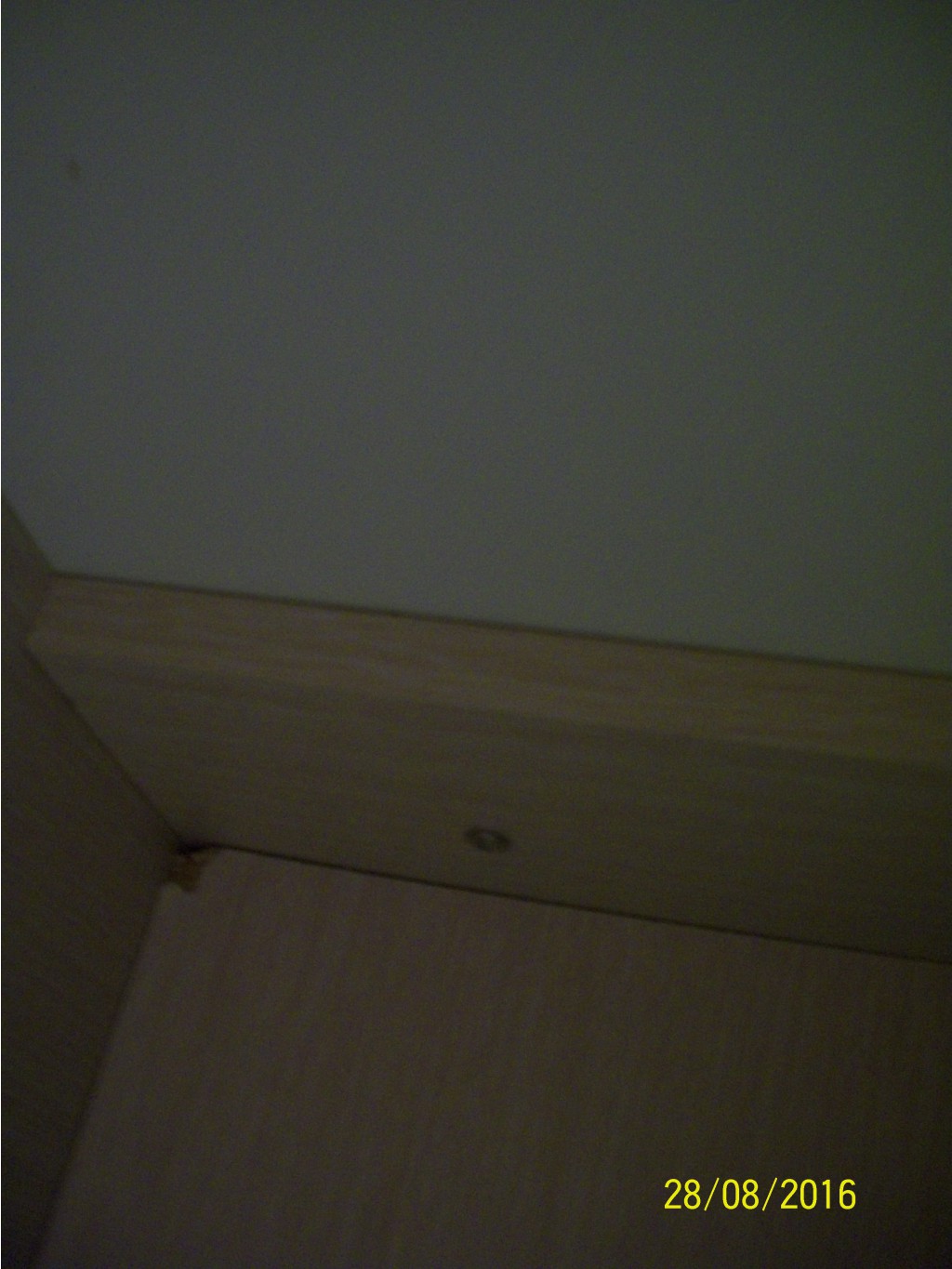 100 7564.JPG