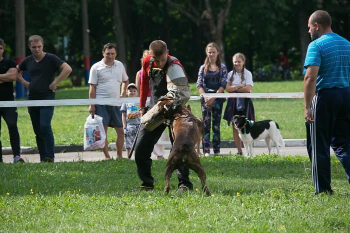 2-3874.jpg