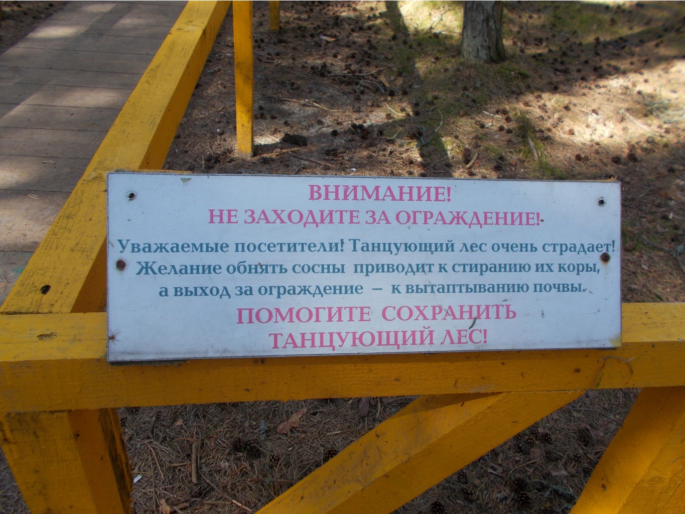 DSCN3859.JPG