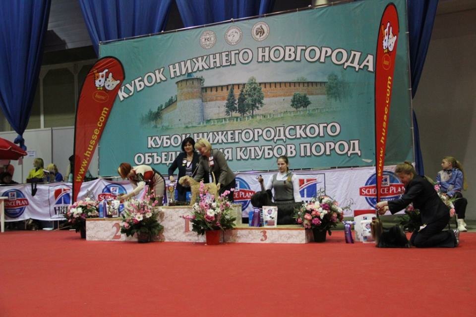 IMG 20160811 174214 34.jpg