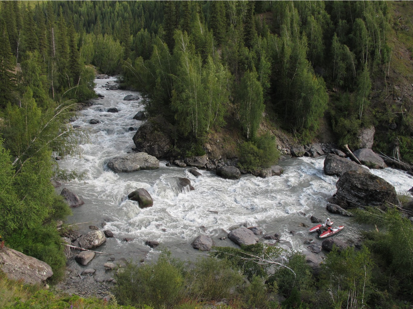 IMG 8643.JPG