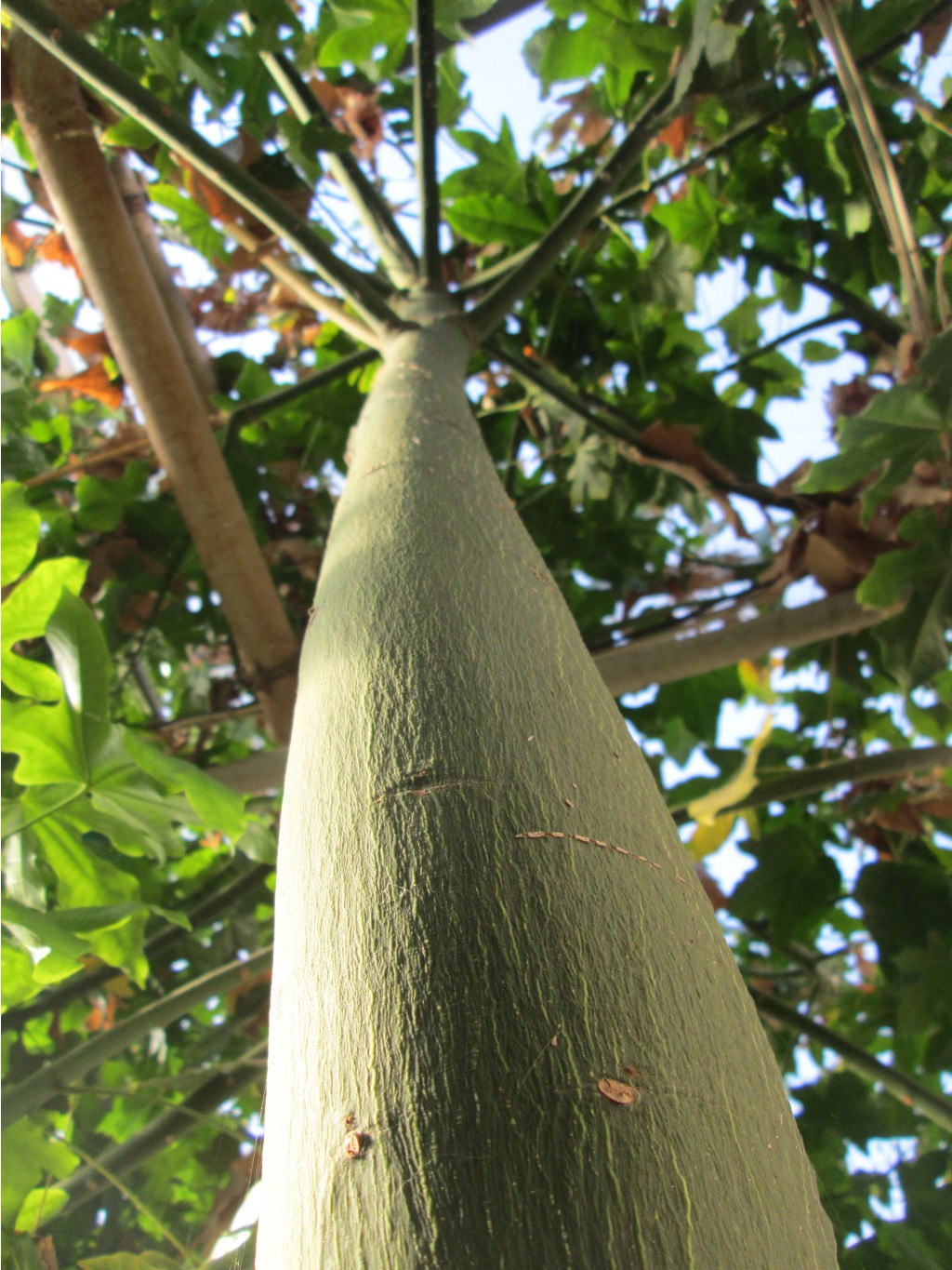 IMG 4577.JPG