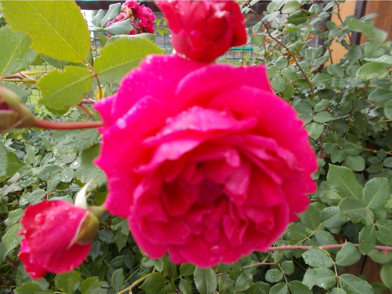 DSCN0875.JPG