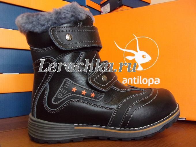 2295 . +   (    ,  !)