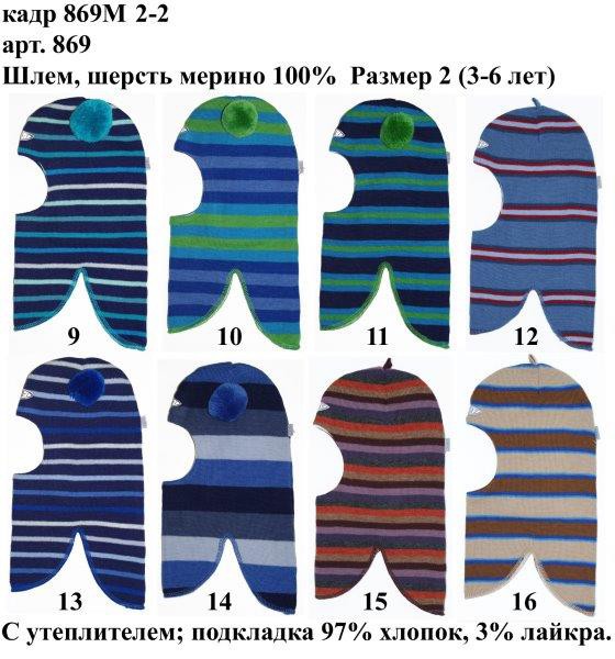 869М2-2.jpg