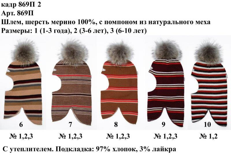 869П2.jpg