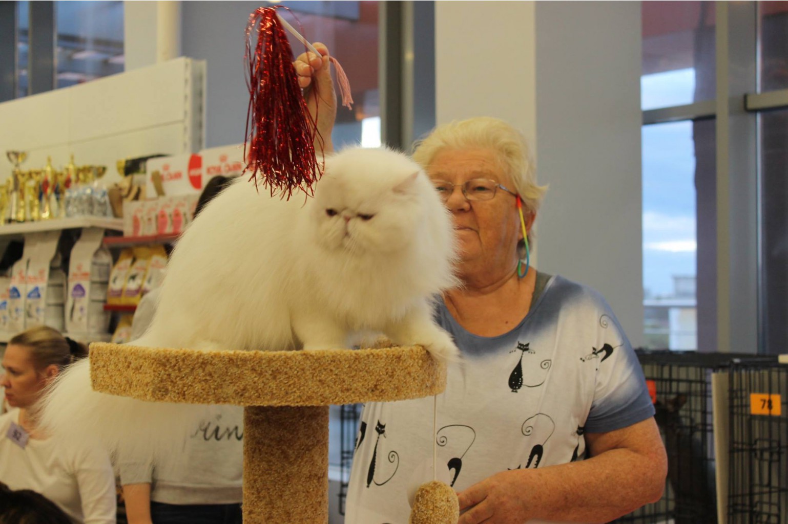 14324344 1102189703196415 2764225820927102441 o.jpg