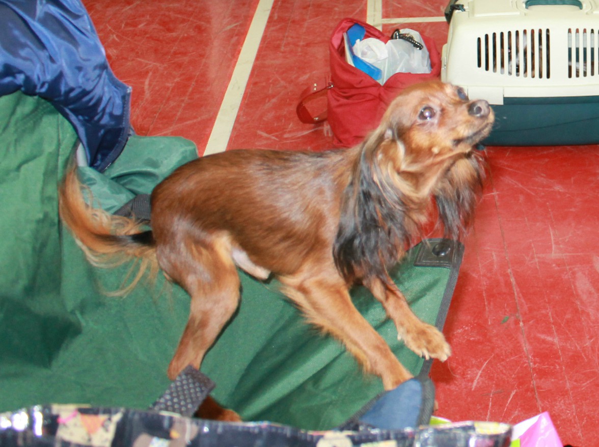 IMG 5569.jpg