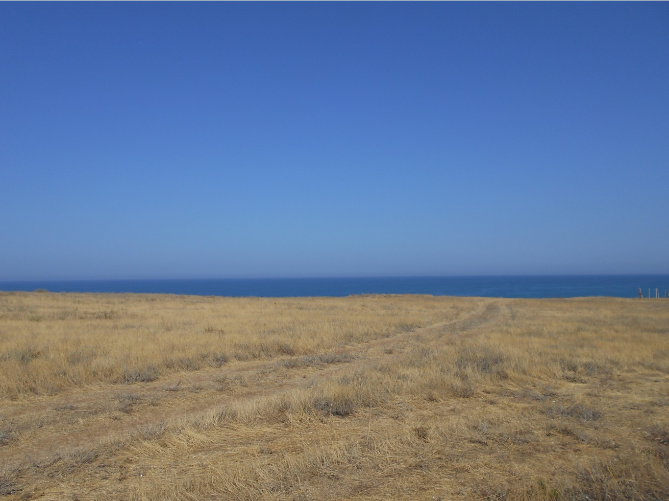 DSCN0316.JPG