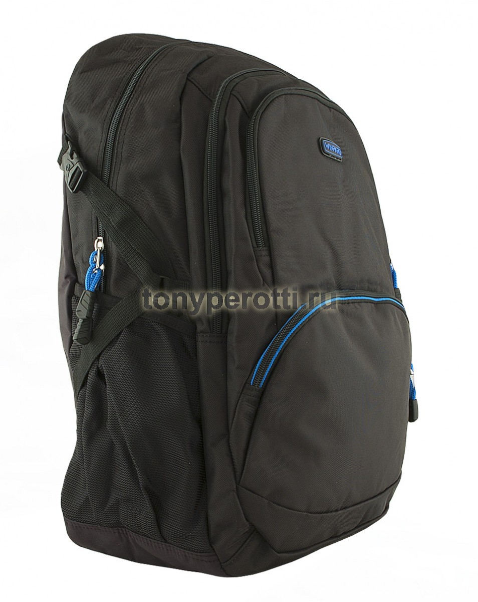 Winpard 21008/black-blue