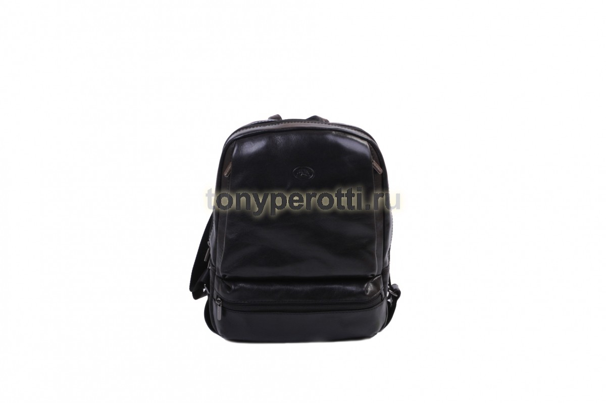 Tony Perotti Italico 330122/2