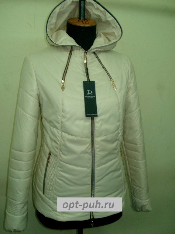 ģ     51  42-50 -.jpg