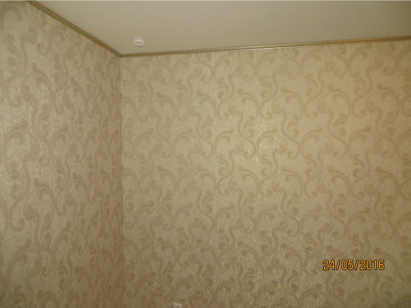 IMG 2864.JPG