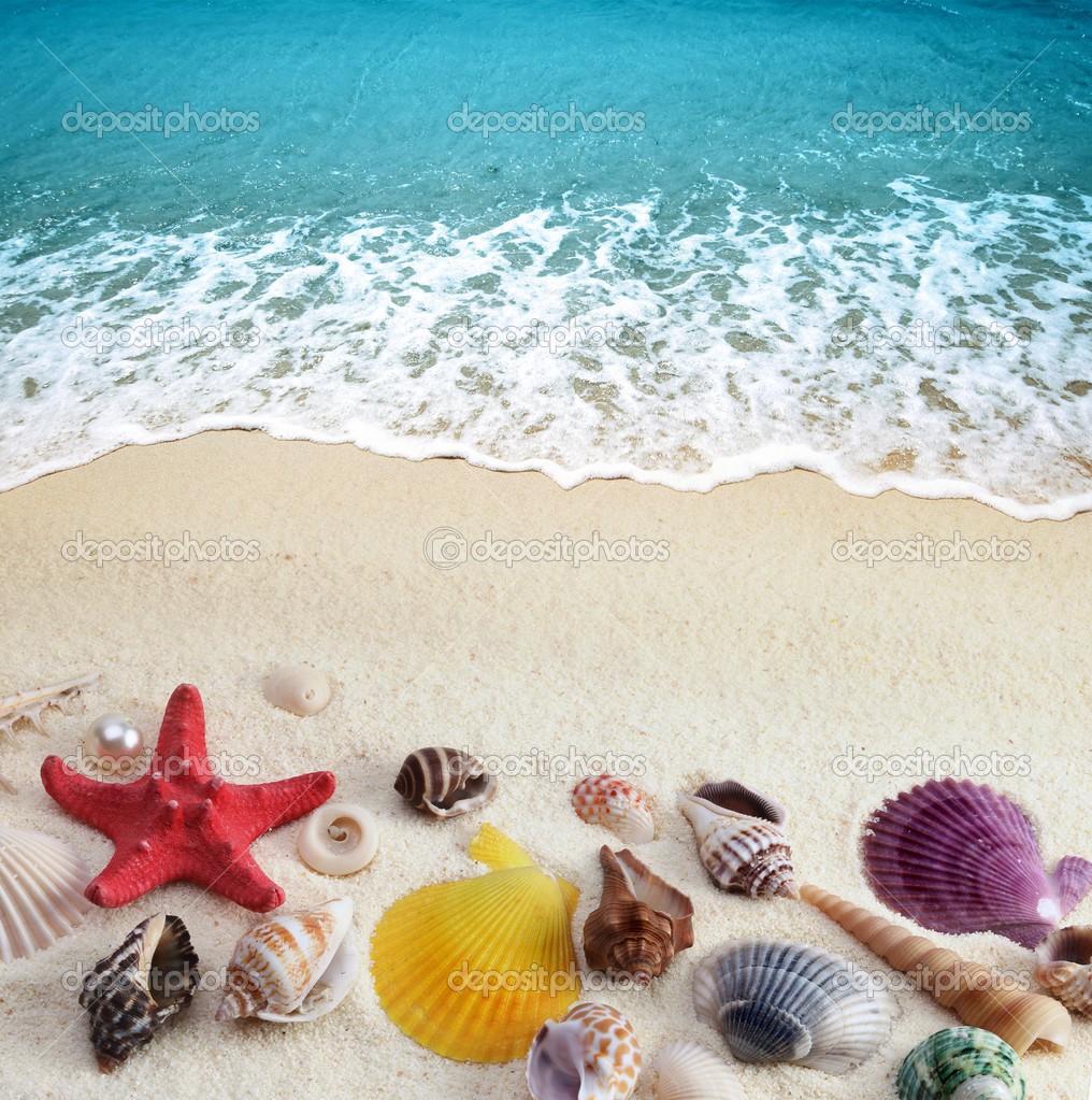 Depositphotos 6193790-Sea-shells-on-sand-beach.jpg