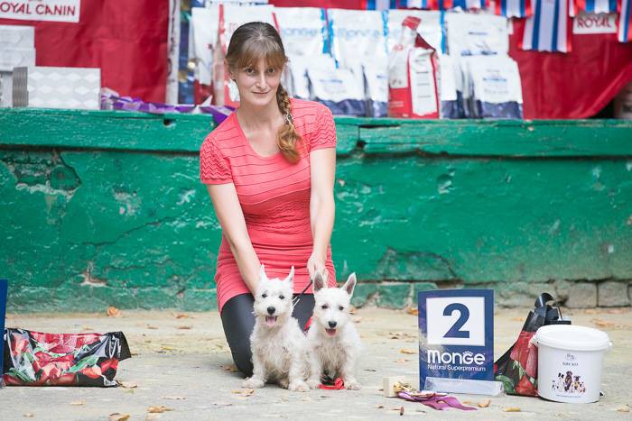 14064140 10206935824300567 8018276636305323418 n.jpg